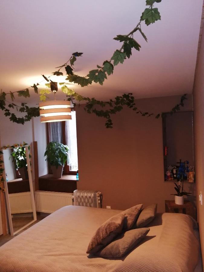 Les Chaillottes Séjour chez l'habitant *